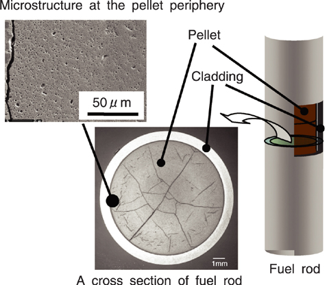 Fig.5-5 Crystal structure of fuel pellet before power burst test