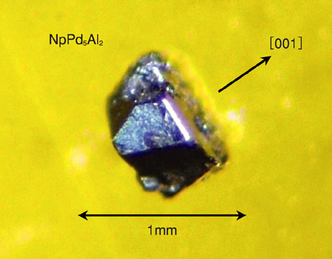 Fig.6-4 Photograph of NpPd5Al2 single crystal