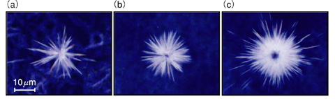 Fig.7-12 Microscopic images of FTs created by uranium particles: (a) natural,(b) 10% enriched, (c) 85% enriched