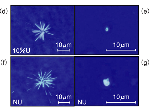 Fig.7-14 Microscopic images of FT morphologies (d, f) and of uranium particles (e, g) corresponding to the FT