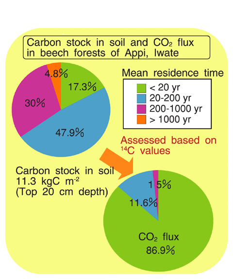 Fig.7-2 Carbon Cycle in Forests