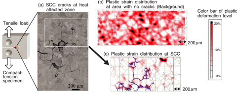 Fig.7-9 (a) Intergranular type SCC in compact-tension specimen, (b) plastic strain distribution at no crack area, and (c) at SCC area