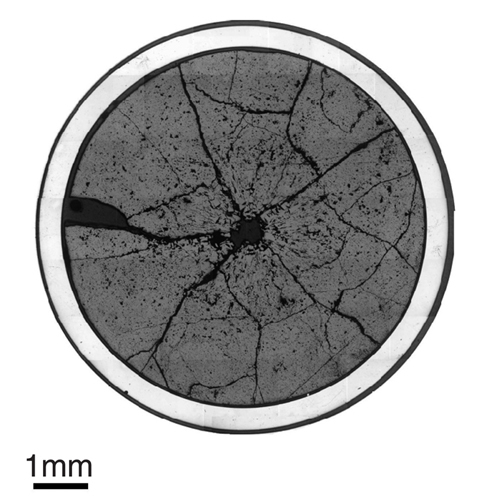 Fig.1-5 Ceramograph of irradiated 5% Am-MOX fuel (a) 10min. irrad.