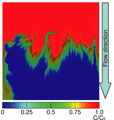 Fig.2-7 Example of measured dye tracer concentration