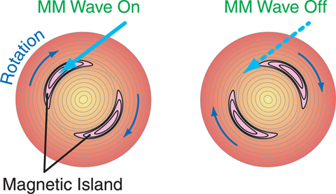 Fig.3-3 Plasma cross section with magnetic islands