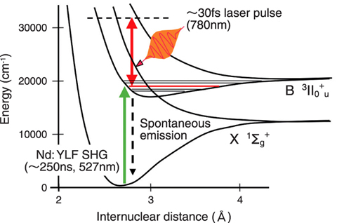 Fig.4-14 Potential energy curves of the iodine molecule and excitation scheme