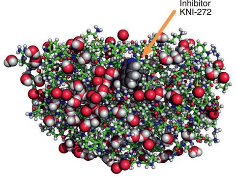 Fig.4-18 Positions of all atoms in HIV-1 protease-inhibitor KNI-272 complex