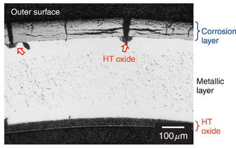 Fig.5-5 Radial cross section of the irradiated ZIRLO cladding after high-temperature oxidation test