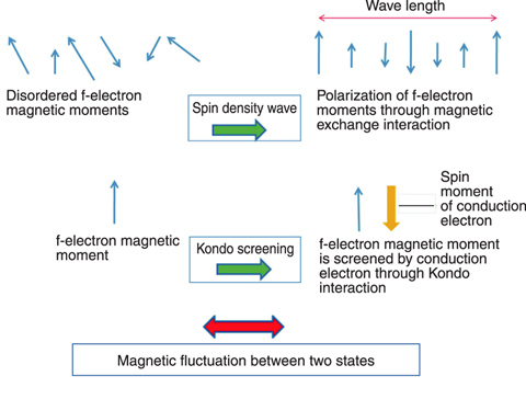 Fig.6-7 Two proposed (spin density wave and Kondo screening) models for magnetic fluctuations which may induce the unconventional superconductivity
