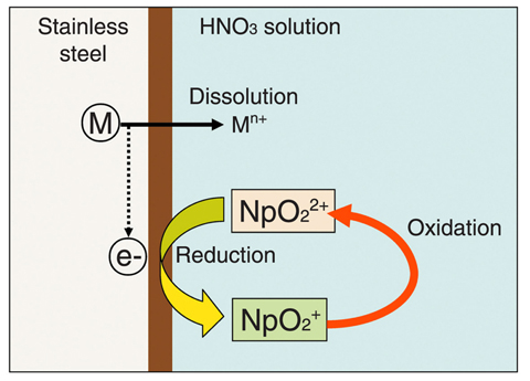 Fig.7-11 Schematic illustration of corrosion mechanism in HNO3 solution with neptunium