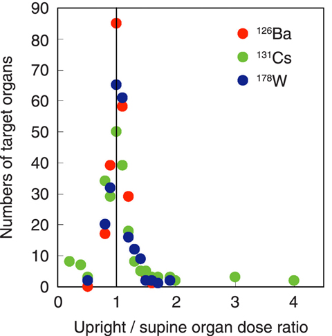 Fig.7-18 Distribution of the upright/supine organ dose ratios due to the intake of 126Ba,  131Cs and 178W