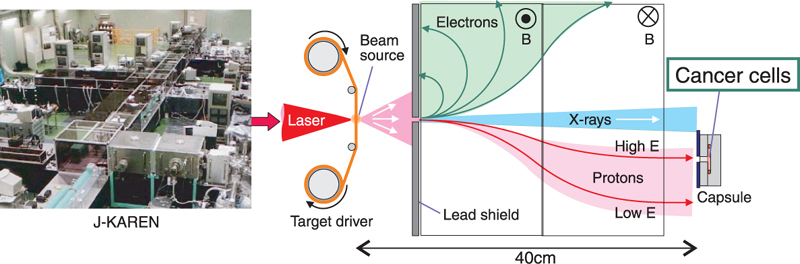 Fig.11-3 Newly-developed laser-driven proton irradiation system for radiobiological studies