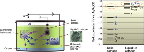 Fig.1-25　Concept of the electro-refining process and standard redox potential of TRU and rare earth elements