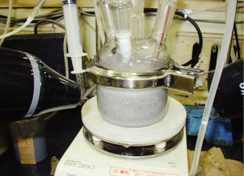 Fig.10-1　Nitrate decomposition experiment