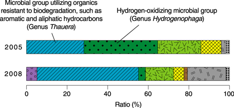 Fig.2-11　Microbial composition of groundwater samples collected between 1148 and 1169 m underground in Toki granite