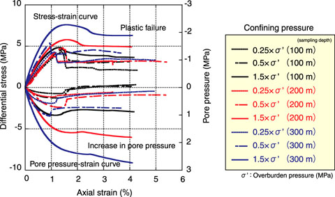 Fig.2-19　An example of laboratory test results