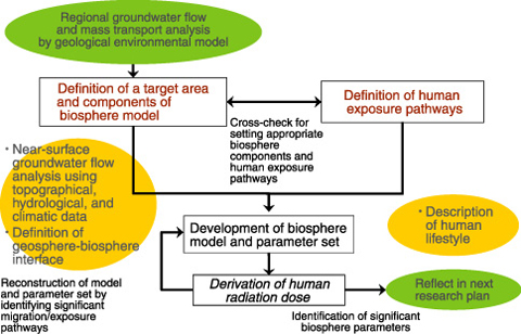 Fig.2-9　Biosphere model in surface and near-surface environments: development overview flow chart