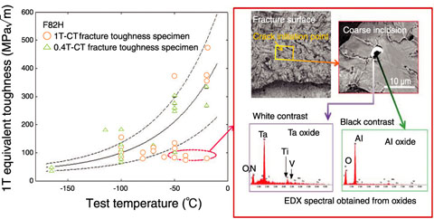 Fig.3-26　The influence of inclusions on the toughness of F82H