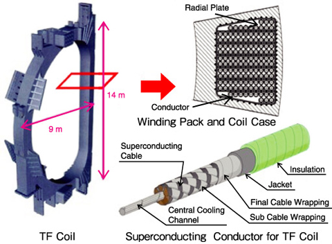 Fig.3-3　Structure of TF coils and their superconductor