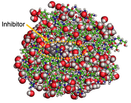 Fig.4-22　Whole atom positions in elastase complexed with inhibitor