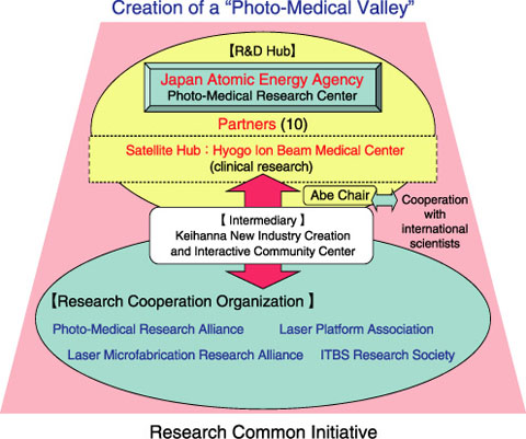 Fig.5-2　Common research initiative for creation of a “Photo-Medical Valley”