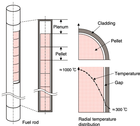 Fig.6-4　Schematic diagrams of a LWR fuel rod and radial temperature profile in the fuel rod