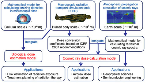 Fig.8-16　Outline of this study