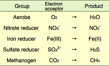 Table 2-1　Major microbial metabolism types