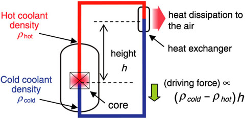 Fig.1-6　Natural circulation in the heat transport systems