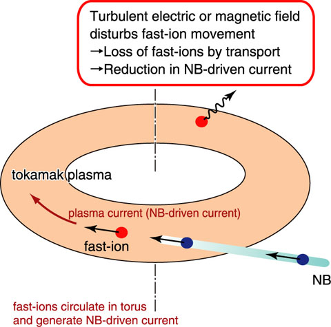 Fig.3-16　Principle of NB current drive and transport of fast-ions by turbulence in tokamak device