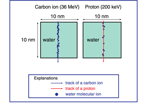 Fig.4-24　Positions where the water ions are produced