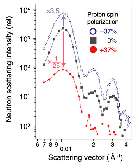 Fig.4-9　Small-angle neutron scattering (SANS) profiles for proton spin polarized states