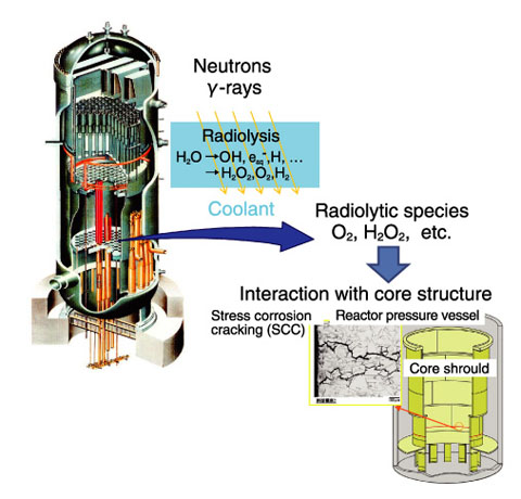 Fig.5-6　Water radiolysis and corrosion in a reactor core