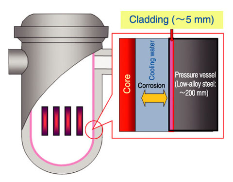 Fig.5-8　Reactor pressure vessel and cladding layer