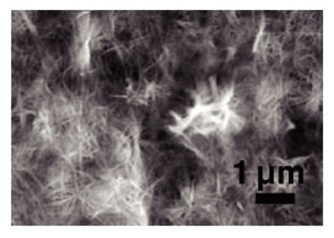 Fig.6-13　Cerium phosphate precipitates formed abiotically in aqueous solution