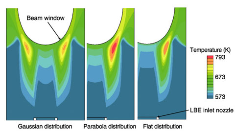 Fig.7-10　Temperature distribution in LBE spallation target region