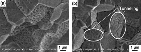 Fig.7-13　SEM images of the fracture surface of a (Pu, Cm)O2 pellet annealed at 1160 °C