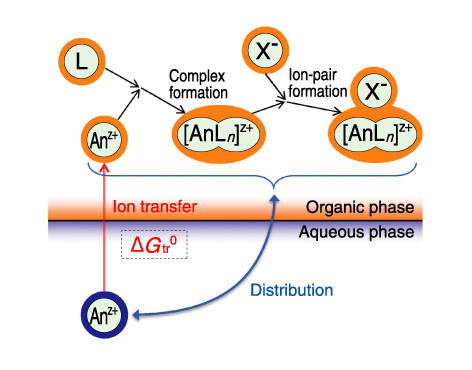 Fig.7-16　Ion transfer at aqueous/organic interface