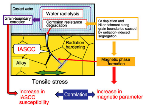 Fig.7-20　Mechanism of correlation between magnetic data and IASCC susceptibility