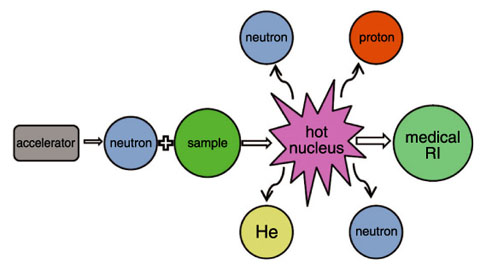 Fig.7-25　Production of medical RIs by using accelerator neutrons