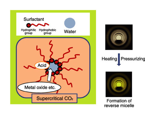 Fig.9-5　Diagram of a reverse micelle in supercritical carbon dioxide