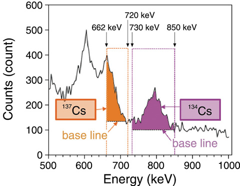 Fig.1-26　Scheme for selective quantification of 134Cs and 137Cs