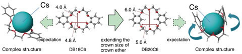 Fig.1-30　Molecular design concept of crown ether