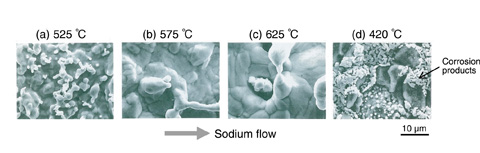 Fig.13-22　Corrosion of 304 SS exposed in flowing sodium for 82000 h