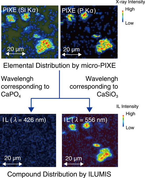 Fig.13-25　Examples of microscopic imaging of the elemental distribution obtained by PIXE (upper) and the chemical-state distribution by IL (lower) from aerosol samples with the scanning ion microbeam
