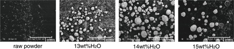 Fig.2-11　SEM photomicrograph of MOX powder obtained using agitating granulation