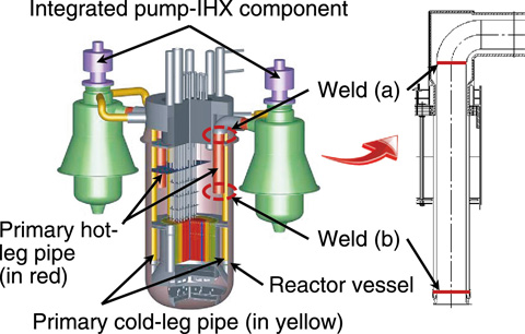 Fig.2-7　Schematic view of the JSFR RV and primary systems