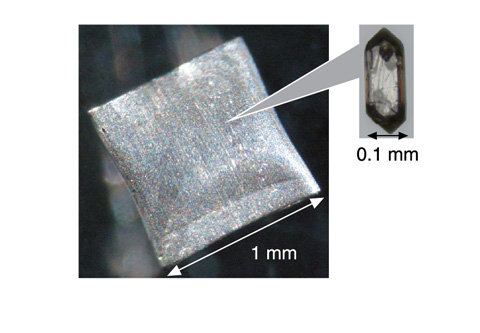 Fig.3-13　Sample grain for dating