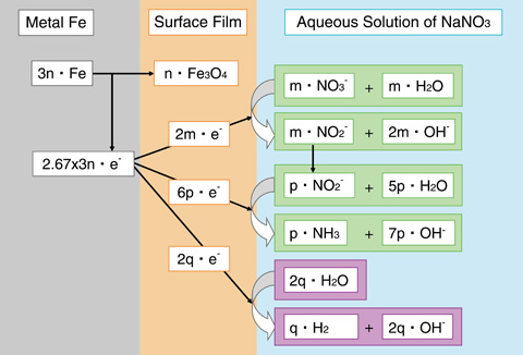 Fig.3-7　Conceptual model of nitrate evolution accompanied by corrosion of carbon steel