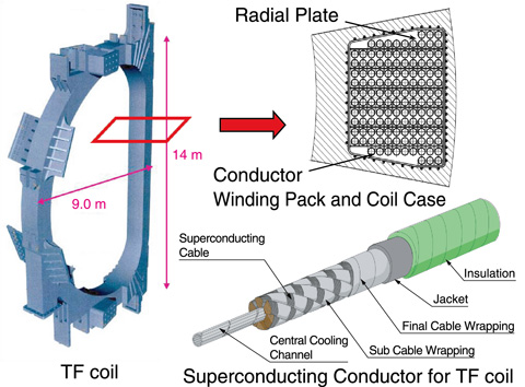 Fig.4-3　Structure of TF coils and their superconductor